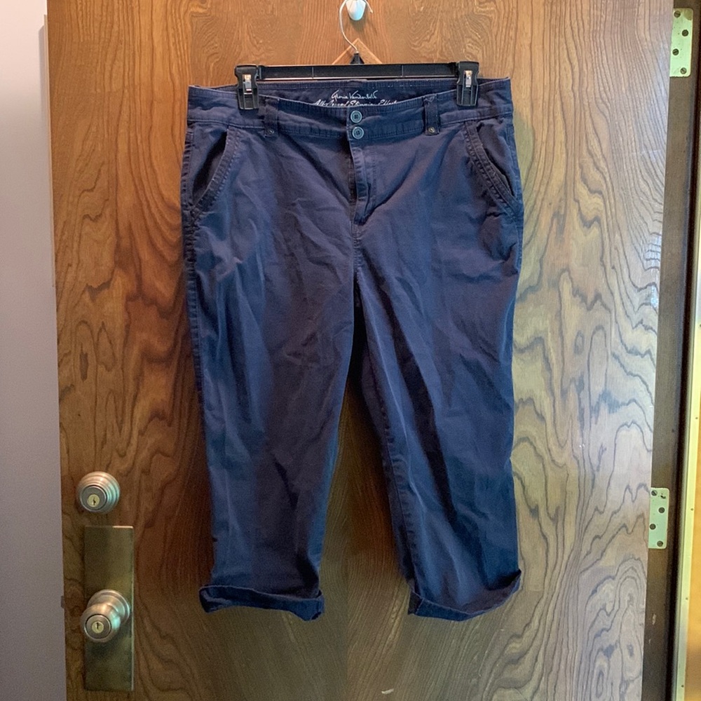 14 Gloria Vanderbilt Navy Capri